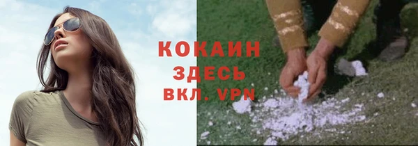 кокс Алексин