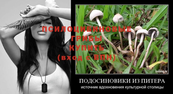 a pvp Алзамай