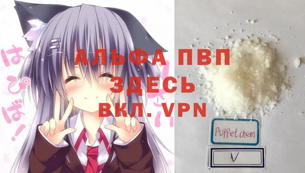кокс Алексин