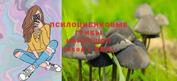 a pvp Алзамай