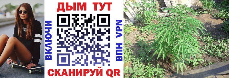 Каннабис индика  Боровск 